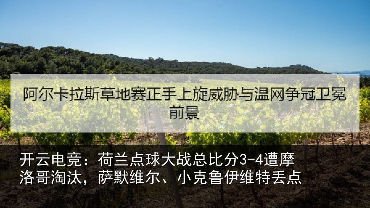 开云电竞：荷兰相关情况摩洛相关情况克鲁伊维特丢点