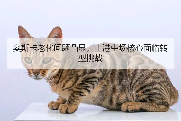 ao-si-ka-lao-hua-wen-ti-tu-xian-shang-gang-zhong-chang-he-xin-mian-lin-zhuan-xing-tiao-zhan-2-356.jpg
